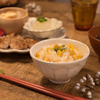 Kaneko Kohyo - Rice Bowl - White - Rinka Series - Handcrafted Japanese Mino Ware