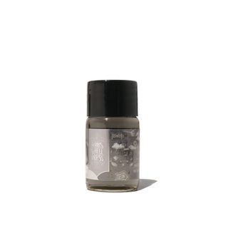 Wayfinders Slate Fountain Pen Inks - 10ml Bottled | Ferris Wheel Press