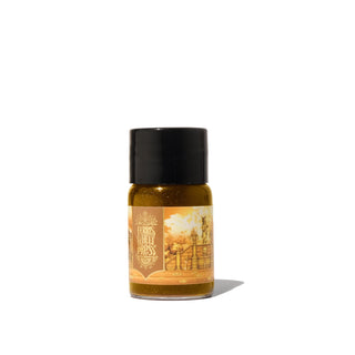 The King Midas Fountain Pen Inks - 10ml Bottled | Ferris Wheel Press