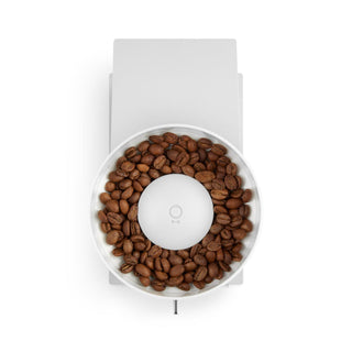 FELLOW Opus Conical Burr Grinder (120V)