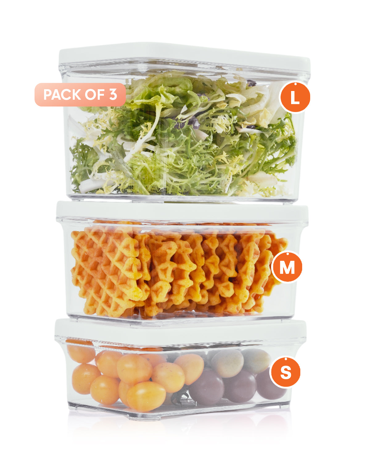 Ensemble de boîtes de conservation sous vide