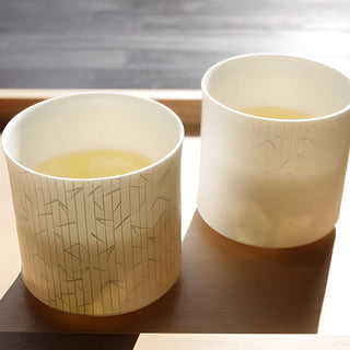 Sasasa 8cm Pair Cup Set Mino Ware